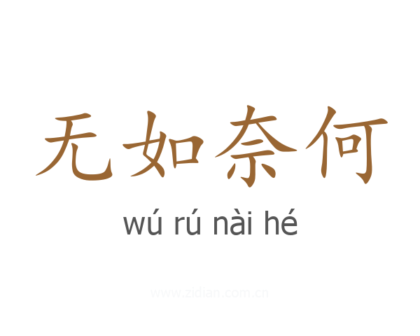 无如奈何