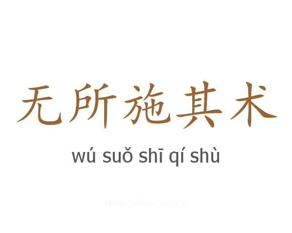无所施其术