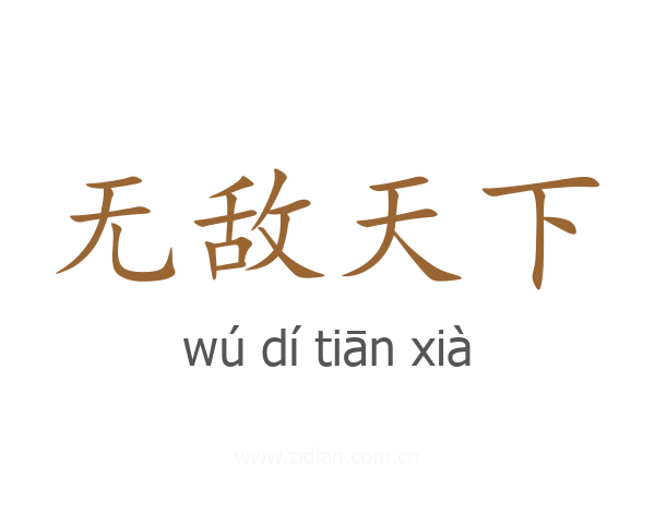 无敌天下