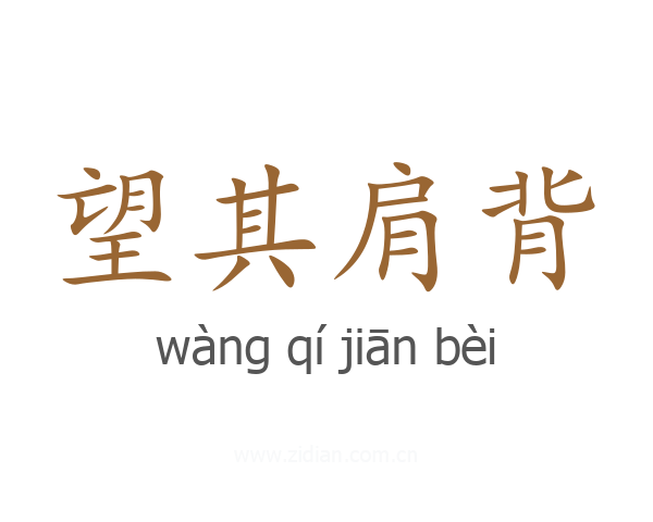 望其肩背