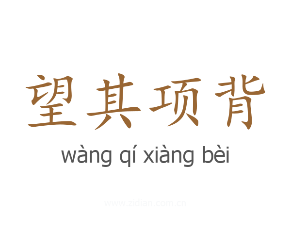 望其项背