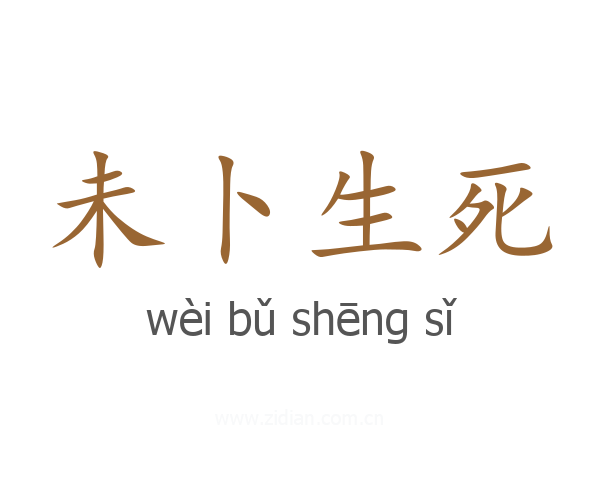 未卜生死