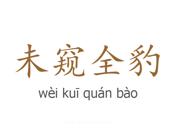 未窥全豹