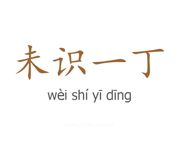未识一丁