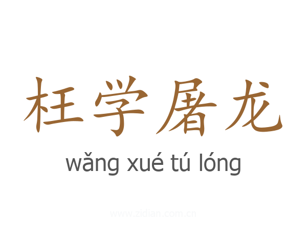 枉学屠龙