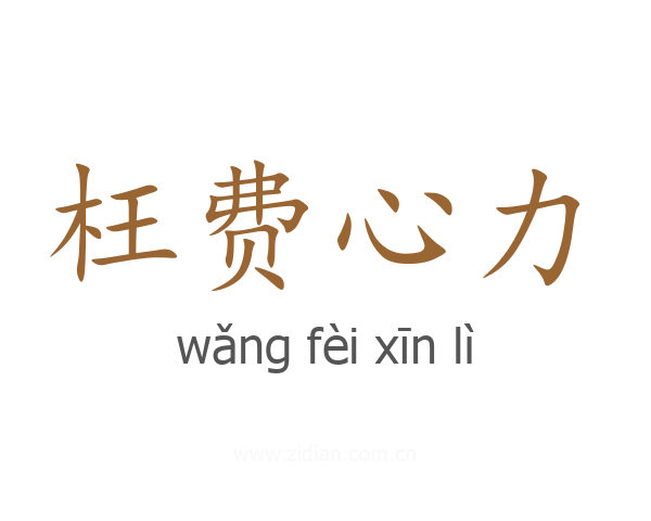 枉费心力