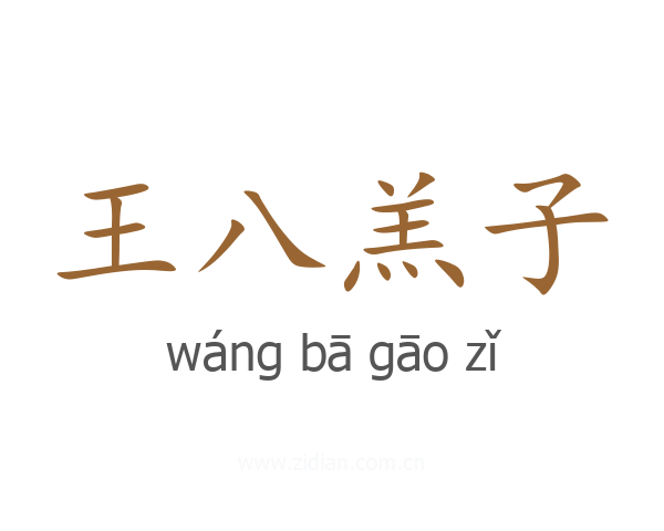 王八羔子