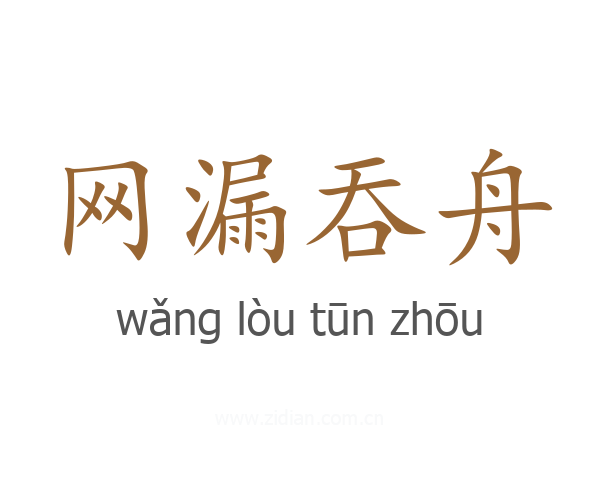 网漏吞舟
