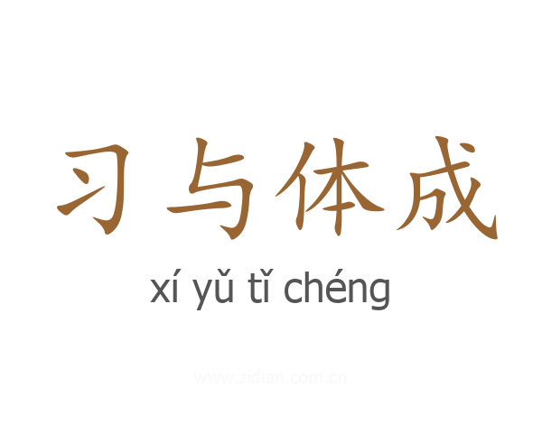 习与体成
