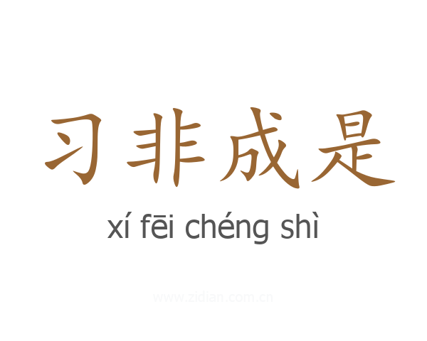 习非成是