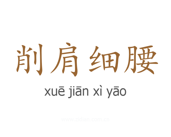 削肩细腰
