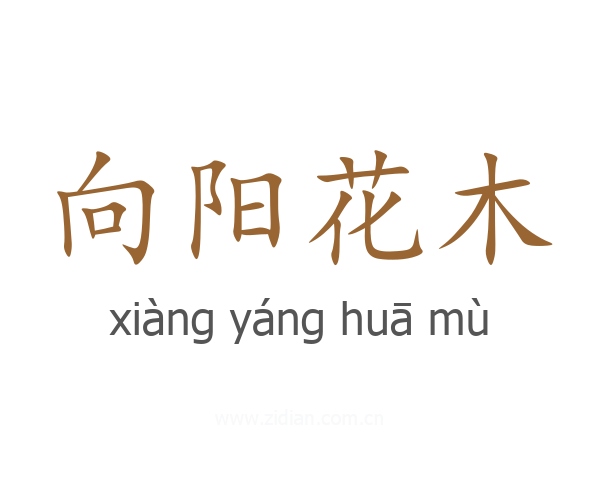 向阳花木