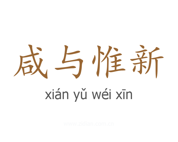 咸与惟新