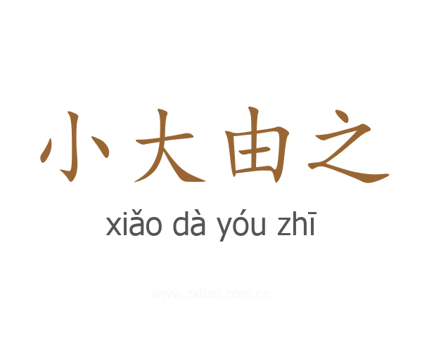 小大由之