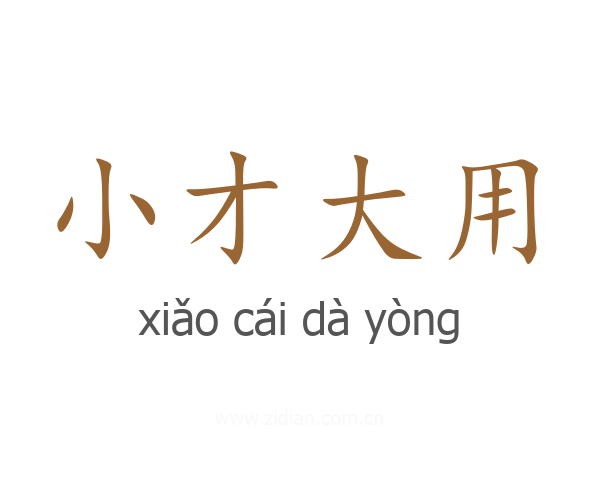 小才大用