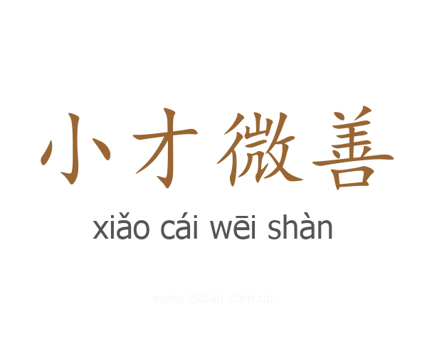 小才微善