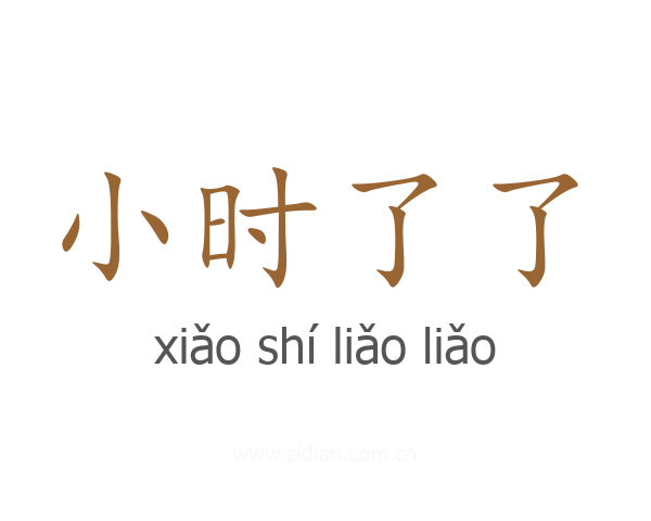 小时了了