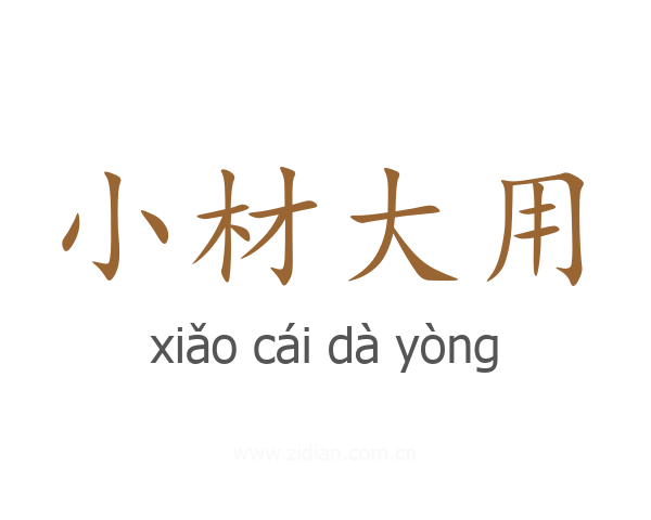小材大用