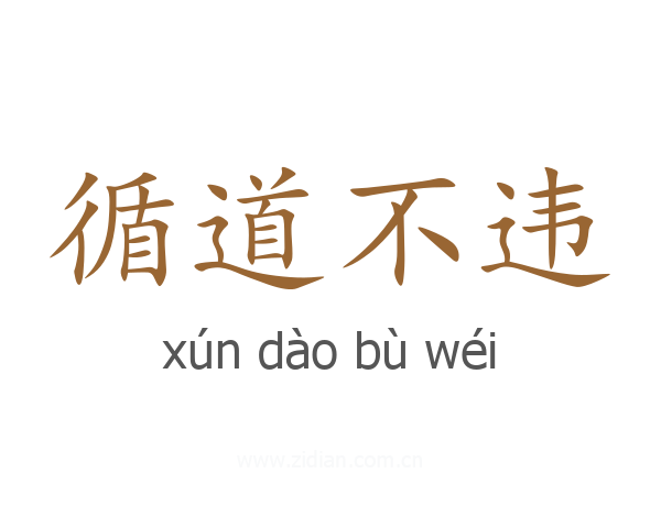 循道不违