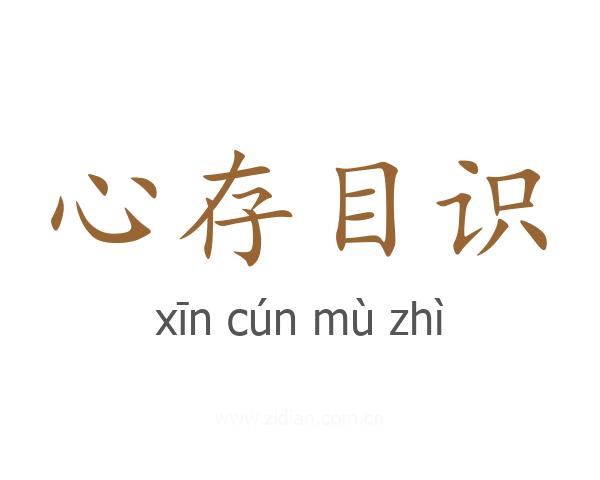 心存目识