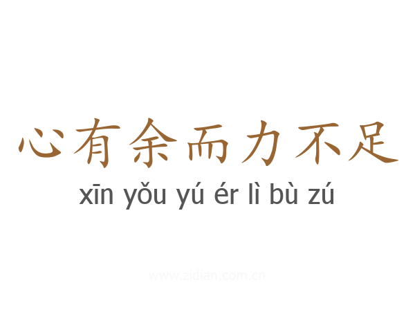 心有余而力不足