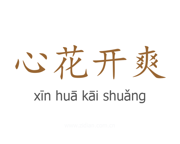 心花开爽