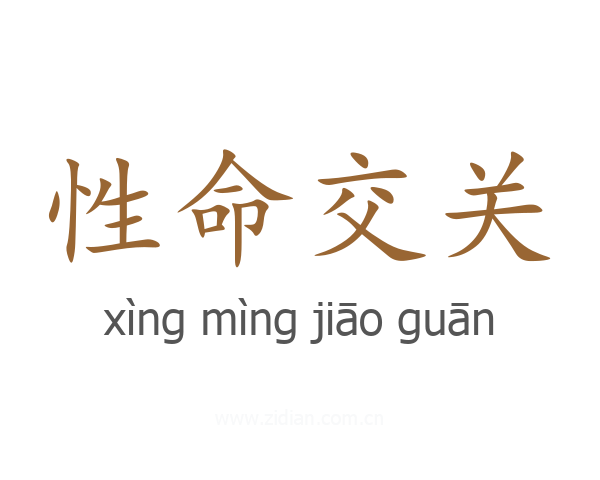 性命交关