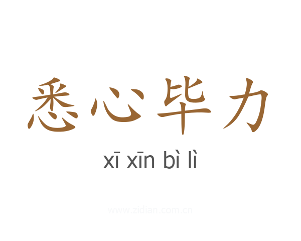 悉心毕力