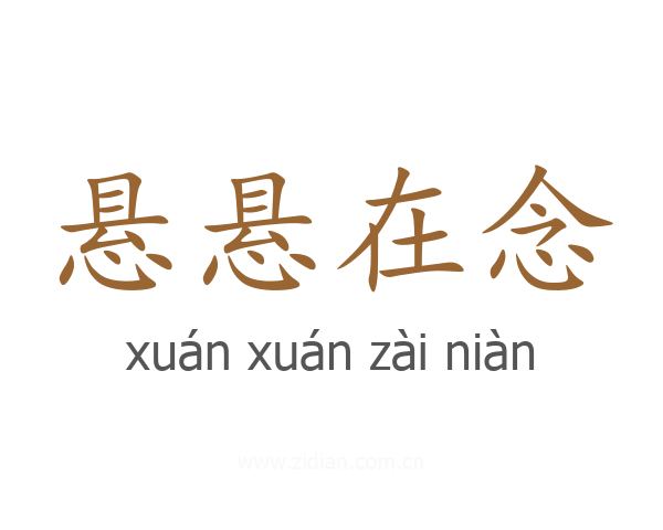 悬悬在念
