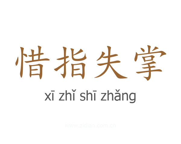 惜指失掌