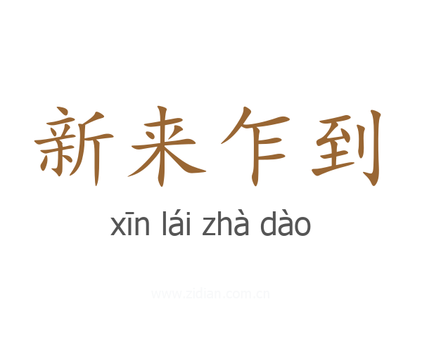 新来乍到