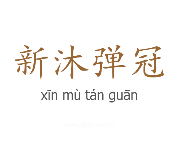 新沐弹冠