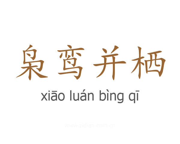 枭鸾并栖