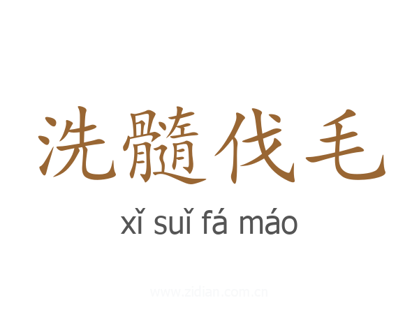 洗髓伐毛