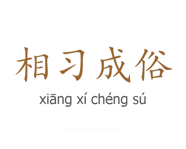 相习成俗