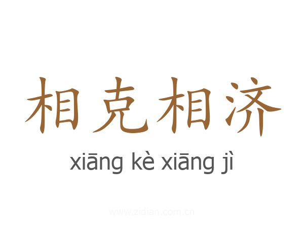相克相济