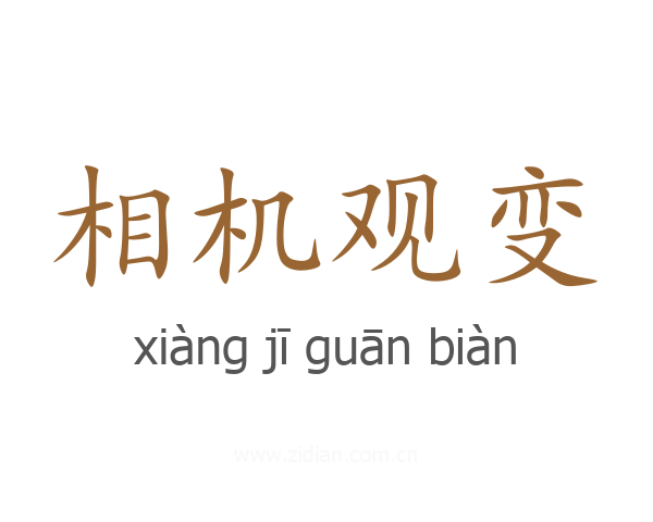 相机观变