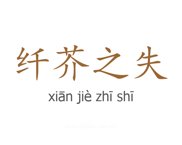 纤芥之失
