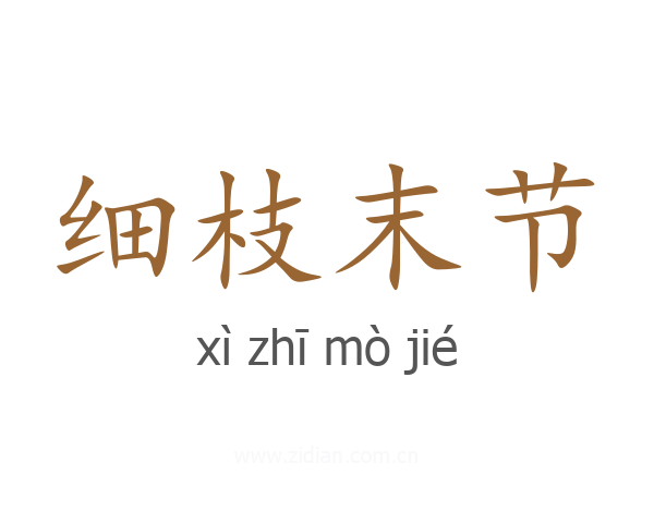 细枝末节