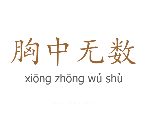 胸中无数