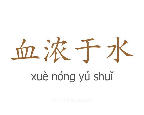 血浓于水