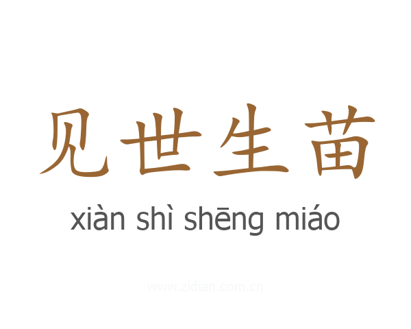 见世生苗
