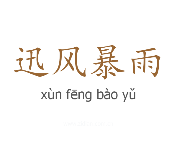 迅风暴雨