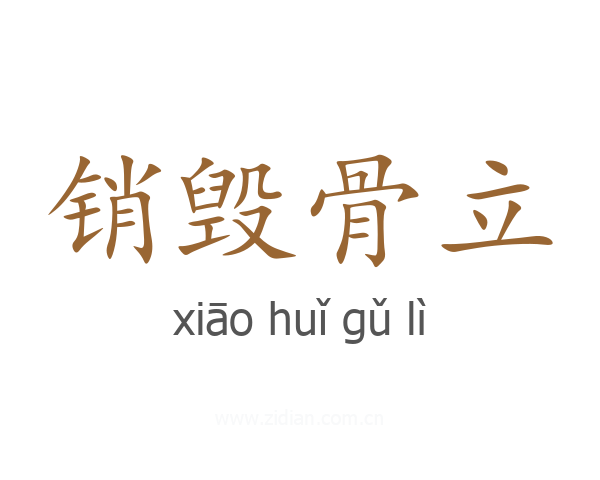 销毁骨立