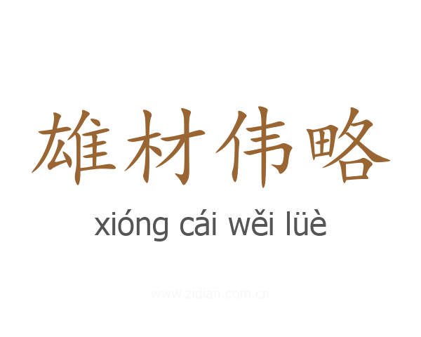 雄材伟略