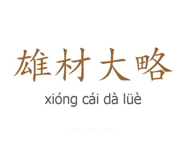 雄材大略