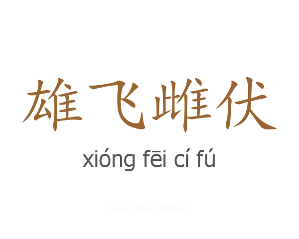 雄飞雌伏