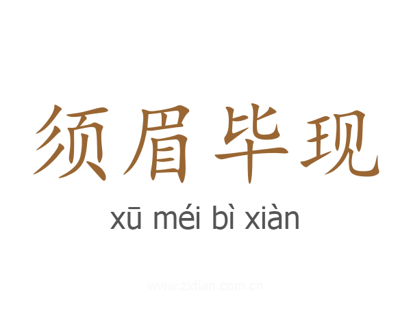 须眉毕现