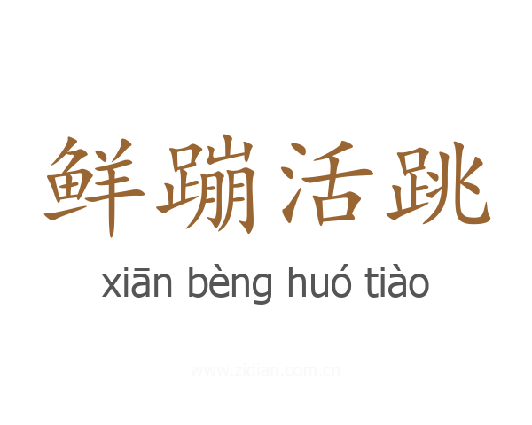鲜蹦活跳
