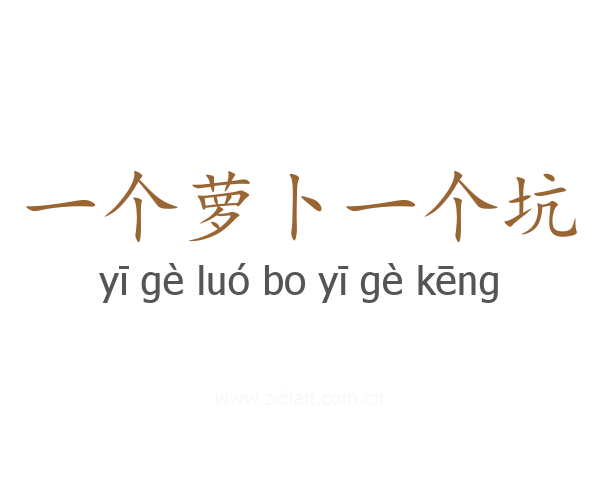 一个萝卜一个坑